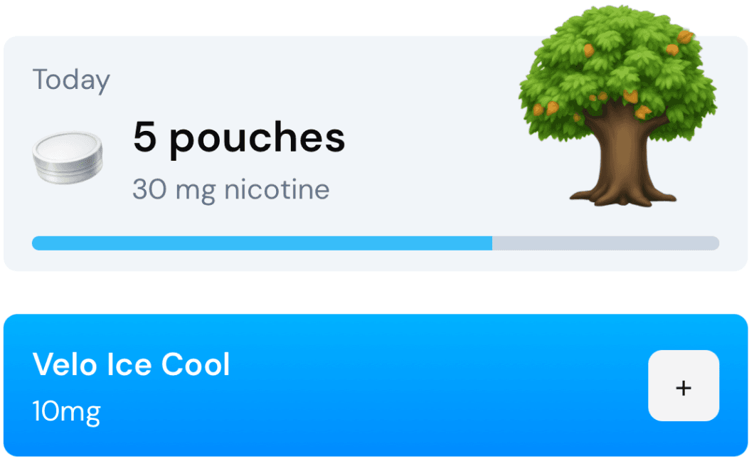 Snusless tracking screen with the product selector and pouch counter